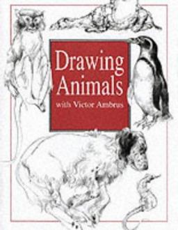 Drawing Animals