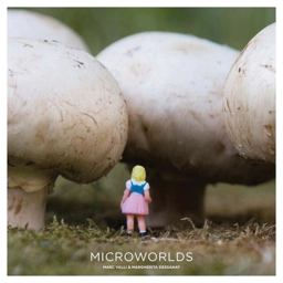 Microworlds  9781856697873 Front Cover