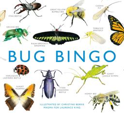 Bug Bingo  9781856699402 Front Cover