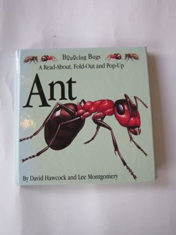 Ant
