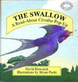 Swallow
