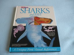 A Look Inside Sharks and Rays