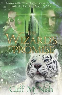 The Wizard's Promise