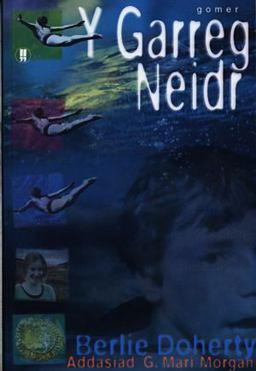 Cyfres Nofelau I'r Arddegau: Garreg Neidr, Y