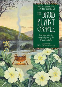 Druid Plant Oracle Working with the Magical Flora of the Druid Tradition  9781859064191 Front Cover