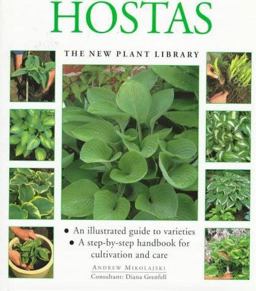 Hostas