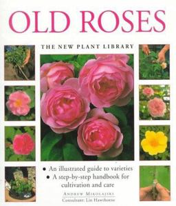 Old Roses