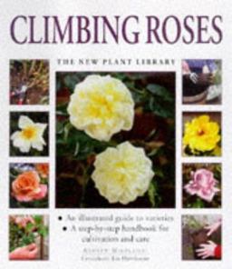 Climbing Roses