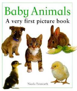 Baby Animals