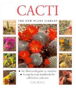 Cacti Cacti