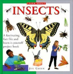 Insects