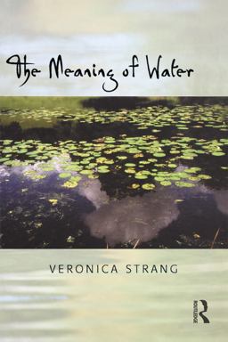 Meaning of Water  9781859737538 Front Cover