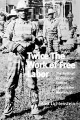 Twice the Work of Free Labor The Political Economy of Convict Labor in the New South  9781859840863 Front Cover