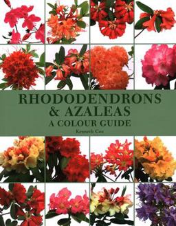 Rhododendrons &amp; Azaleas A Colour Guide  9781861267849 Front Cover