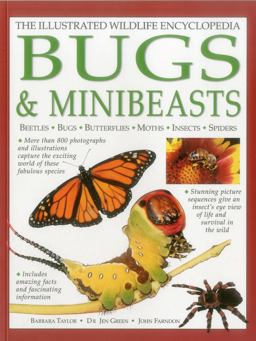 Bugs and Minibeasts