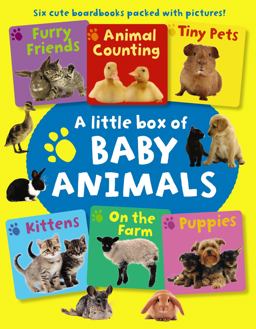 A Little Box of Baby Animals