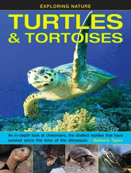 Turtles and Tortoises