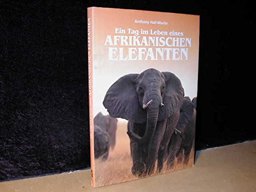 Eine Tag Im Leben Eines Afrikanschen Elefanten