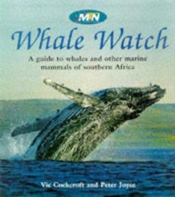 Whale Watch