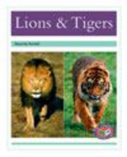 Lions and Tigers