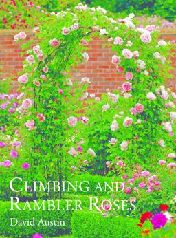 Climbing Roses