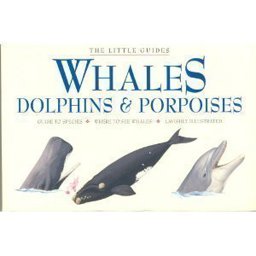 Whales, Dolphins and Porpoises