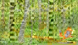 Le Voleur de Poule  9781877467318 Front Cover