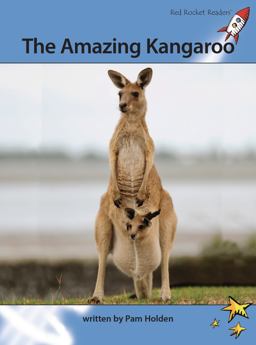 The Amazing Kangaroo