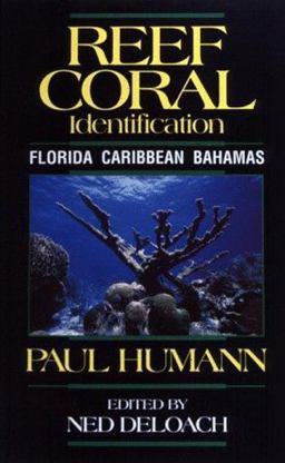 Reef Coral Identification Florida Caribbean Bahamas 1st 9781878348036 Front Cover