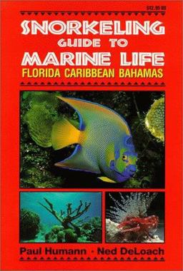 Snorkeling Guide to Marine Life Florida, Caribbean, Bahamas  9781878348104 Front Cover