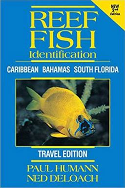 Reef Fish Identification - Travel Edition