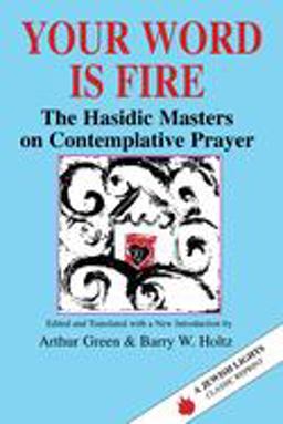 Your Word Is Fire The Hasidic Masters on Contemplative Prayer  9781879045255 Front Cover
