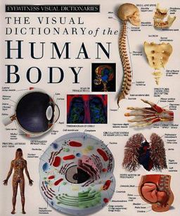 Eyewitness Visual Dictionaries: the Visual Dictionary of the Human Body  9781879431188 Front Cover
