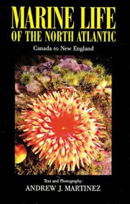 Marine Life of the North Atlantic Canada to New England 3rd 9781881652328 Front Cover