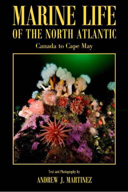 Marine Life of the North Atlantic Canada to Cape May  9781881652359 Front Cover