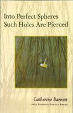 Into Perfect Spheres Such Holes Are Pierced  9781882295456 Front Cover