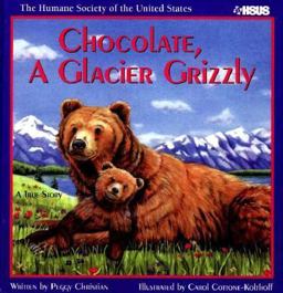 Chocolate, a Glacier Grizzly