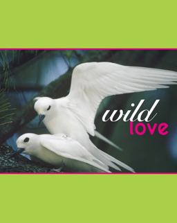 Wild Love