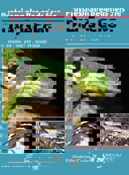 Day Geckos (Professional Breeders Series)