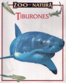 Tiburones (Sharks)