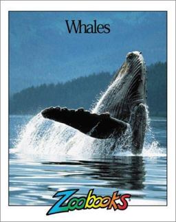 Whales