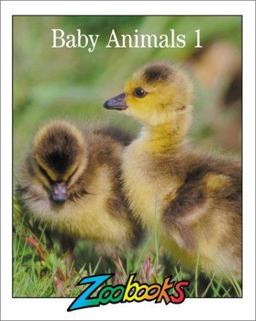 Baby Animals