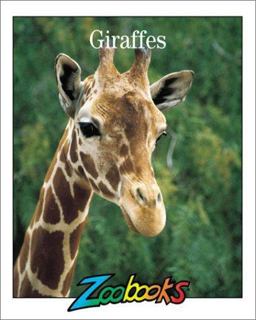 Giraffes