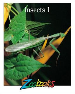 Insects 1