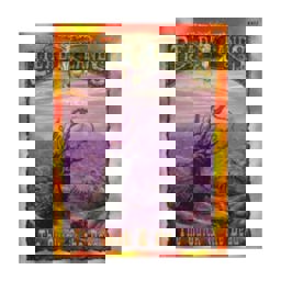 The Quick and the Dead