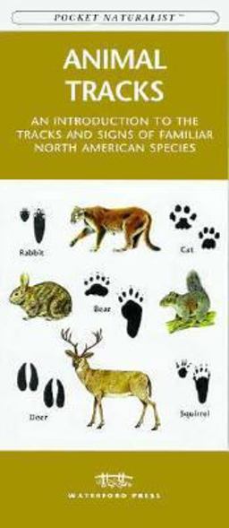 Animal Tracks Animal Tracks