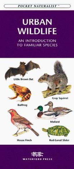 Urban Wildlife Urban Wildlife