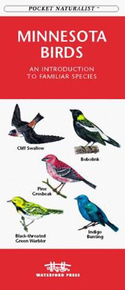 Minnesota Birds Minnesota Birds