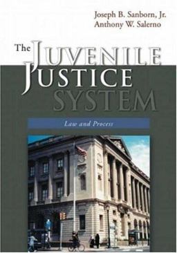 Juvenile Justice System  9781891487958 Front Cover