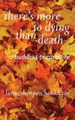 There's More to Dying Than Death A Buddhist Perspective  9781899579686 Front Cover